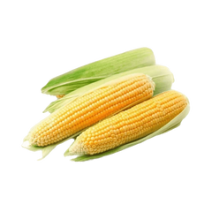 Кукурудза початки