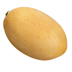 Диня