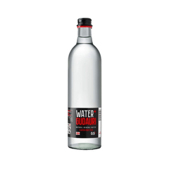 Мінеральна газована Вода Water + GUDAURI 500мл