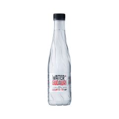 Минеральная Вода Water + GUDAURI 500мл