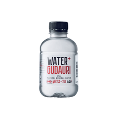 Мінеральна Вода Water + GUDAURI 250мл